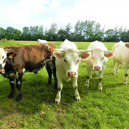 펜션 Maison Des Palmiers - Bord De Et Campagne