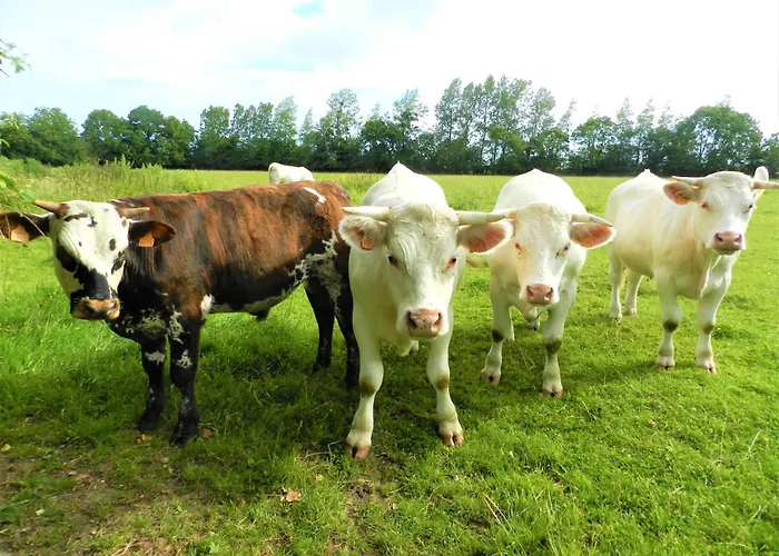 Semesterbostad Maison Des Palmiers - Bord De Et Campagne